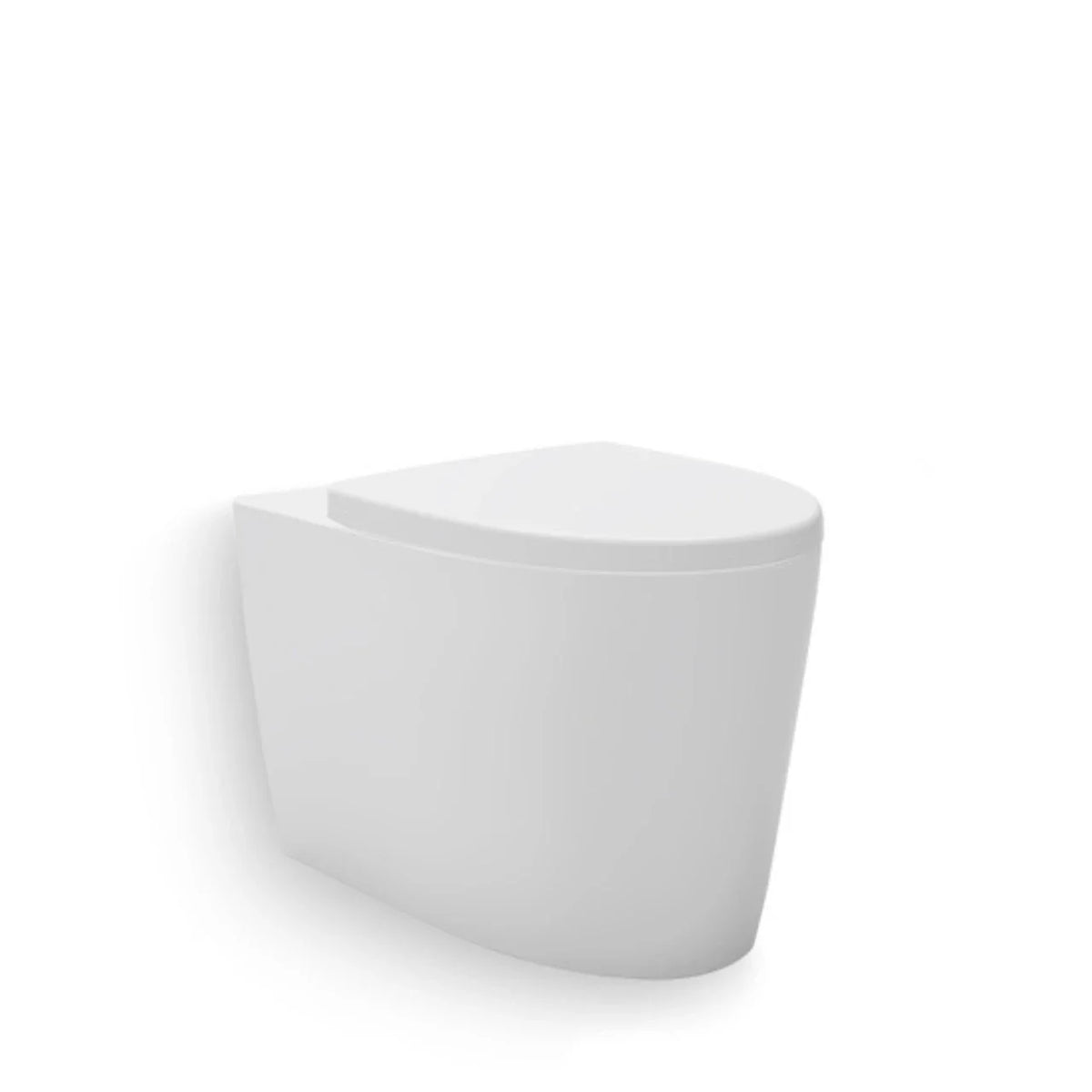 Wall Faced Toilets