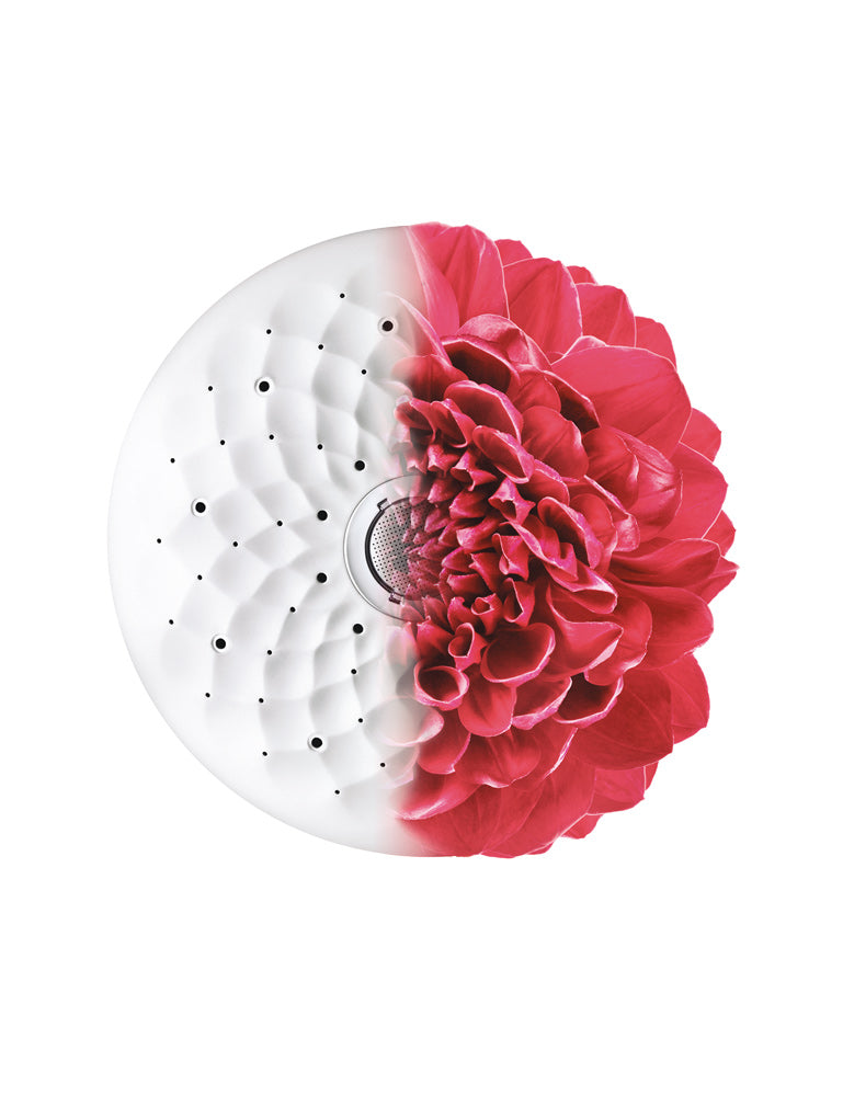 Kohler Exhale Slide Shower (77361T-E-CP)