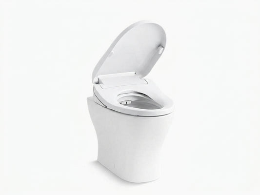 Reach II Wall Faced Toilet with Kohler C3-255 Bidet Seat